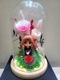 Harry Potter Series: Hermione Granger Preserved Flower Dome With Pink Roses And Same Day Delivery