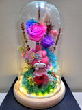 My Melody Preserved Flower Dome With Rainbow Roses And Same Day Delivery