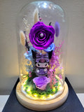 Kuromi Preserved Flower Dome With Purple Roses And Same Day Delivery
