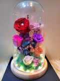 5 Roses Eternal Couple V2 Preserved Flower Dome (Red Theme)