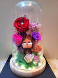 5 Roses Premium Popmart Crybaby Preserved Flower Dome (Red Theme)