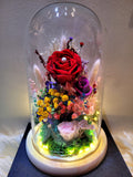 Preserved Flower Dome With Roses & Baby's Breath (7 Choices of Color Theme)
