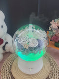 LED Preserved Flowers Aroma Diffuser With All White Roses