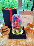 Winnie The Pooh Preserved Flower Dome With Rainbow Roses And Same Day Delivery