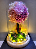 Premium Miniso Winnie The Pooh Hydrangea Tree With Preserved Roses in Glass Dome