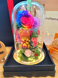 Premium Winnie The Pooh Preserved Flower Dome With Rainbow Roses And Same Day Delivery