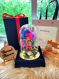 Winnie The Pooh Preserved Flower Dome With Rainbow Roses And Same Day Delivery v2