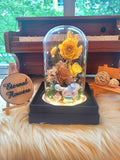 Cinnamoroll Preserved Flower Dome With Yellow Roses And Same Day Delivery
