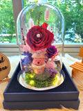 Winnie The Pooh Preserved Flower Dome With Red Roses And Same Day Delivery v3