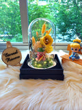 Winnie The Pooh Preserved Flower Dome With Yellow Roses And Same Day Delivery v5